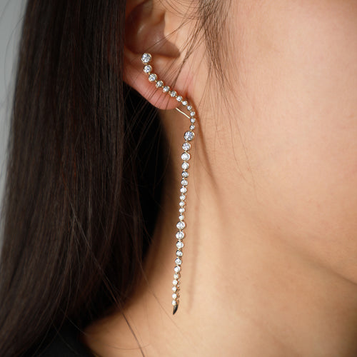 Longevity Diamond Drops Earrings